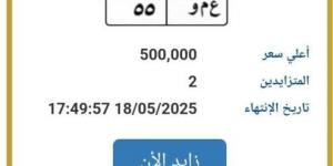 وصلت لـ 500 ألف جنيه.. المرور تطرح لوحة سيارة مميزة للمزاد في هذا الموعد - الكويت الاخباري