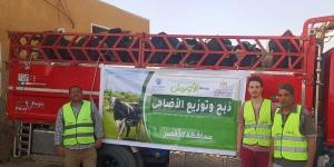 توزيع 50 ألف كيلو لحوم أضاحي و75 عجل للأسر الأولى بالرعاية في الأقصر - الكويت الاخباري