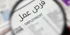 وظائف قيادية شاغرة بجامعة المنصورة.. تعرف على التخصصات المطلوبة وشروط التقديم - الكويت الاخباري