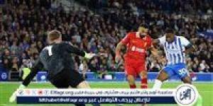 نتيجة وملخص أهداف مباراة ليفربول ضد برايتون في الدوري الإنجليزي - الكويت الاخباري