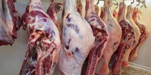أسعار اللحوم الحمراء اليوم الثلاثاء - الكويت الاخباري