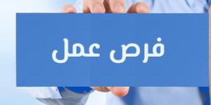 135 فرصة عمل.. آخر موعد للتقديم على وظائف الصيدليات المقدمة من وزارة العمل - الكويت الاخباري