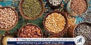 أسعار البقوليات اليوم الثلاثاء الموافق 20-5-2025 فى سوهاج - الكويت الاخباري