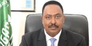 "إيجاد" ترحب بتعيين كامل إدريس رئيسا لوزراء السودان وتجدد دعوتها لوقف إطلاق النار - الكويت الاخباري