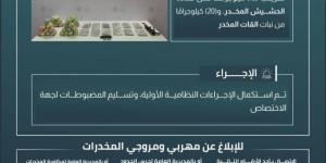 إحباط تهريب (13) كجم من الحشيش و(20) كجم من القات بـالربوعة - الكويت الاخباري