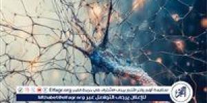 الولايات المتحدة توافق على أول فحص دم لمرض ألزهايمر - الكويت الاخباري