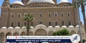 جولة تثقيفية للأطفال في قلعة صلاح الدين ضمن أنشطة قصور الثقافة - الكويت الاخباري