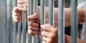 حبس تشكيل عصابي بحوزتهم حشيش اصطناعي قيمته 70 مليون جنيه - الكويت الاخباري