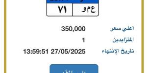 سعرها وصل لـ 350 ألف جنيه..طرح لوحة مميزة تحمل أحرف "ع م و" فى مزاد المرور - الكويت الاخباري