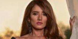 طارده كلب.. إصابة نجل الفنانة زينة في كمبوند بالشيخ زايد - الكويت الاخباري
