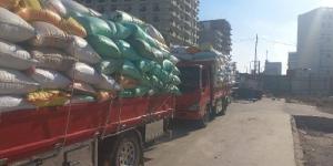حصاد الخير.. شون وصوامع البحيرة تستقبل 267 ألف طن من المزارعين - الكويت الاخباري