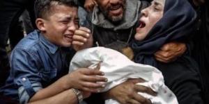 ارتفاع حصيلة شهداء غزة إلى 53 ألفا و977 شهيدا منذ بداية العدوان - الكويت الاخباري