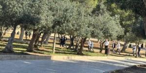 مئات المستوطنين يقتحمون المسجد الأقصى بحماية شرطة الاحتلال - الكويت الاخباري