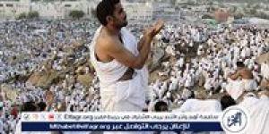 انطلاق بعثة الأطباء البيطريين المصريين للإشراف على الهدي والأضاحي في موسم حج 2025 - الكويت الاخباري