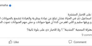 آية سماحة تفتح النار على الفنانة مشيرة إسماعيل: هى دي المحجبة المتدينة؟ - الكويت الاخباري