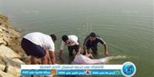 مصرع « طالب» غرقا بالبحر اليوسفي في المنيا أثناء تعلم السباحة. - الكويت الاخباري