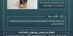 حرس الحدود بجازان يقبض على مخالفين لنظام أمن الحدود لتهريبهما 20 كيلوجرامًا من نبات القات المخدر - الكويت الاخباري