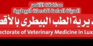550 طفلا جديدا ينضمون إلى رحلة الشفاء في أورام الأقصر خلال عام - الكويت الاخباري