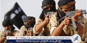 عاجل.. السجن المشدد لمتهم وزوجته في قضية الانضمام لـ "داعش" - الكويت الاخباري