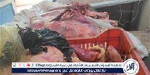 ضبط لحوم غير صالحة للاستهلاك وتحرير 118 محضرًا خلال حملات تموينية مكبرة بالمراكز والأحياء فى أسيوط - الكويت الاخباري