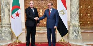 تعاون مصري جزائري لإقامة مشروعات تنموية في الدول الإفريقية - الكويت الاخباري