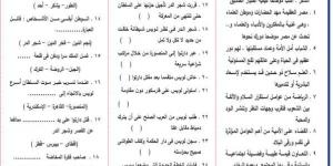 13 موضوع تعبير إبداعي متوقع في امتحان اللغة العربية لـ الصف الثالث الإعدادي #مراجعات_نهائية #الشهادة_الإعدادية #بوابة_الجمهورية_أون_لاين - الكويت الاخباري