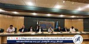 إيمان عوف: يجب أن يكون كارنيه نقابة الصحفيين هو تصريح التصوير في الشارع - الكويت الاخباري