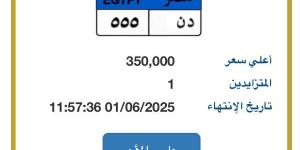 350 ألف جنيه .. مزايدة على لوحة مميزة للسيارات - الكويت الاخباري