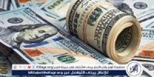 سعر الدولار اليوم 31-5-2025 أمام الجنيه فى البنك المركزى - الكويت الاخباري