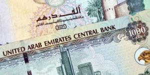 سعر الدرهم الإماراتي مقابل الجنيه المصري اليوم السبت 31 مايو 2025 وفقا لآخر تحديث - الكويت الاخباري