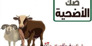 حكم صك الأضحية هل لها نفس ثواب نحر المضحى بنفسه؟.. الإفتاء تجيب - الكويت الاخباري