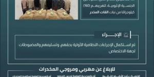 القبض على (8) مخالفين لتهريبهم (160) كجم من القات بـالدائر - الكويت الاخباري