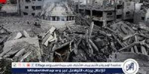 رئيس تشيلي يتعهد بتكثيف الضغوط على إسرائيل بسبب حرب غزة - الكويت الاخباري