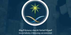 طقس الأربعاء.. أمطار رعدية مصحوبة برياح نشطة على عدة مناطق - الكويت الاخباري