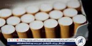 اسعار السجائر الجديدة 2025 المحلية والمستوردة في الأسواق المصرية - الكويت الاخباري