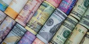 أسعار العملات في مصر اليوم الاربعاء - الكويت الاخباري