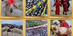 طقوس الاحتفال بعيد الأضحى حول العالم! #منوعات #اخبار_منوعة #لايف_ستايل #عيد_الأضحى #الجمهورية_أون_لاين - الكويت الاخباري