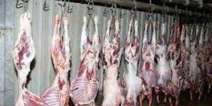 برلمانية: تشديد الرقابة على المجازر وعمليات نحر اللحوم خلال عيد الأضحى - الكويت الاخباري