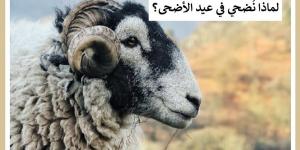 لماذا نُضحي في العيد ؟ تعرف على الحكمة من الاضحية #دا_الافتاء #دين_وحياة - الكويت الاخباري