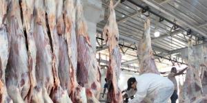 المجازر الحكومية بأسوان: الكشف ونحر الأضاحى بالمجان وتوقيع غرامات لغير الملتزمين - الكويت الاخباري