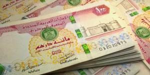 شروط ومعايير استبدال الأوراق النقدية التالفة في الإمارات (فيديو) - الكويت الاخباري