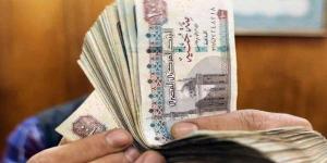 وزير المالية 700 جنيه حافز اضافي من أول شهر يوليو #وزارة_المالية #بوابة_الجمهورية_أون_لاين - الكويت الاخباري