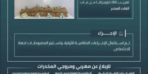 إحباط تهريب (80) كجم من القات المخدر بـالعارضة - الكويت الاخباري