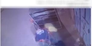 الداخلية تكشف حقيقة فيديو تعدى شخص على هرة - الكويت الاخباري