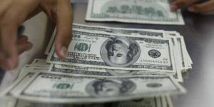 مصر تتصدر أكبر 5 دول إفريقية استقبالاً لتحويلات العاملين بالخارج - الكويت الاخباري