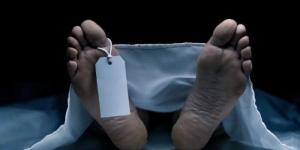 حدث وأنت نائم| طالب يطعن زميله بـ «كتر».. وشاب يقتل زوجته في البحيرة - الكويت الاخباري