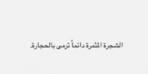 «الشجرة المثمرة تُرمى بالحجارة».. رسالة غامضة لـ أسما شريف منير بعد زواجها - الكويت الاخباري