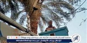 تركيب كشافات جديدة بقرية دوينة بمركز أبوتيج فى أسيوط - الكويت الاخباري