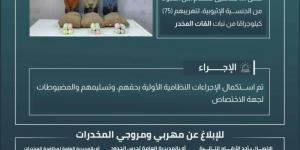 حرس الحدود بعسير يقبض على 3 مخالفين لنظام أمن الحدود لتهريبهم 75 كيلوجرامًا من نبات القات المخدر - الكويت الاخباري