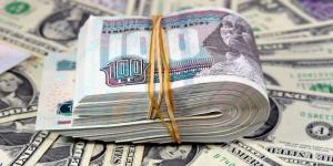 بداية متقلبة لسعر الدولار اليوم في مصر.. إليك آخر التحديثات - الكويت الاخباري